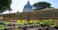 Inside the Vatican’s organic vegetable garden