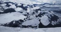 A reporter takes a deep dive on Trump-appointed chair of U.S. Arctic Research Commission