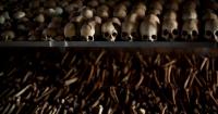 UK charges first person, a doctor, over Rwanda’s 1994 genocide that killed 800,000, one of the largest since the Holocaust