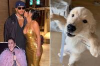 Lewis Hamilton shares cute photo-dump with new puppy, date night with Kim Kardashian and iconic singer’s Paris concert