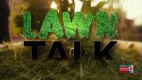Lawn Talk: Fall recovery steps