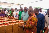 Government to rehabilitate 22 irrigation facilities in Volta Region by 2027