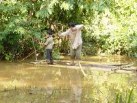 New study adds nuance to the understanding of dementia in the Tsimané and Mosetén of lowland Bolivia