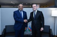 Azerbaijani FM discusses current state and development prospects of Azerbaijan-Djibouti relations with his Djiboutian counterpart