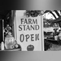Indiana Farm Bureau awards grants to womenowned agricultural small businesses