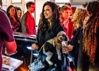 TIFF Remains a Launchpad Even as the Festival Blurs the Line Between Fandom and Industry