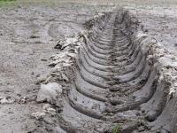 Climatologist says wet weather could delay harvest weeks, possibly months