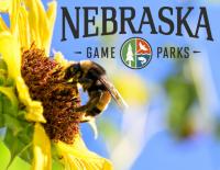Nebraskaland Photo Contest Begins Oct. 1