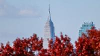 Cool, Breezy Weather Across NYC As Northeast Winds Pick Up