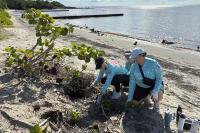 NCLH, NHL, Peter Worrell and Force Blue Lead Virginia Key Cleanup
