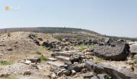 Syria’s ancient site of Ain Dara Temple damaged, looted in Afrin