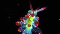 Microscopic Universes Come Alive in Nikon’s Small World in Motion Contest