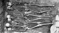 Plague Split into Three New Branches in the Late 1400s, and Researchers Suggest Drought May Have Played a Role