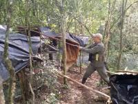 Missions: Poachers’ camp discovered and destroyed within Yabotí Biosphere Reserve
