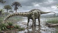 Fourteen Tail Bones from Spain Are the First Diplodocus Found Outside North America, Researchers Say