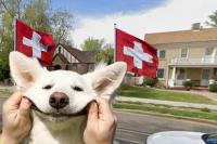 What To Expect At Santa Clara's Swiss Days Festival