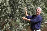 What is happening in the West Bank?