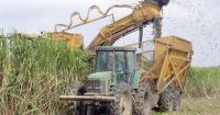 USDA awards nearly $75K to strengthen sugarcane bagasse economy in Lafourche Parish