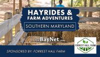 Hayrides And Farm Adventures Await Across Southern Maryland This Fall
