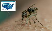 California county records most cases of West Nile virus in nearly a decade... as mosquito-borne diseases spread across US