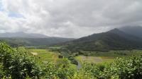 Honolulu pushes back on notice requirements before property is set aside as farmland