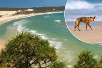 School holiday warning for K’gari travellers