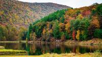Fall foliage 2026: Where to see peak color in Pa., NJ and Del.