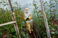 Pesticides: The pandemic no one talks about