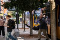 Bus route changes, improvements for University of Washington, college campus connections