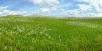 Interior Expands Program for Review of Prairie Pothole Wetland Easements