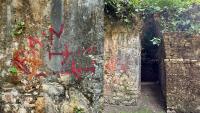 What Jungle Graffiti Says About the Destruction of Guatemala’s Sierra Lacandón National Park