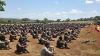 Ethiopian Rebel Groups Join Forces Against the Government