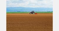 Uzbekistan plans 30,000 hectares of new orchards in Karakalpakstan