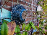 How green infrastructure can grow economic and climate resilience