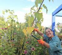 Bernadett Dubovszky, Gardener in Budapest