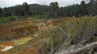 Critical Resources surges on first-mover Suriname gold grab
