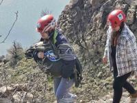 Rare Sheep Survival Case in Bulgaria Presented in International Scientific Journal