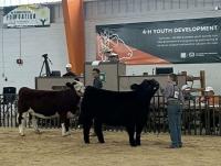 Montezuma County 4-H students post strong showing at Colorado State Fair