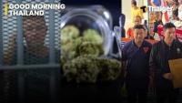 Thailand video news | Simon Carman pleads not guilty, Cabinet Cannabis Crackdown, 669 Phuket Evictions