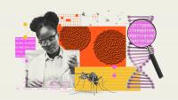 Scientists built a mosquito toilet to reveal viral information