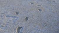 Where time leaves footprints: The national park rewriting human history