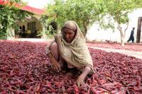Pakistan’s new Chengdu trade route shows CPEC can work