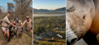 African Bush Camps Launches New Conservation Experience to Celebrate World Rhino Day