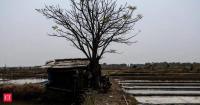 'Super' El Nino could bring 4.5 lakh excess deaths, India among vulnerable: Report