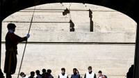 Scientific progress must always defend human dignity says pope