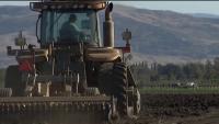 California gas and diesel prices surge to record highs, hammering farmers and drivers
