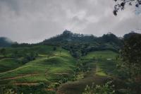 Sri Lanka Wants 3 Million Tourists. It’s More Interested in What They Spend