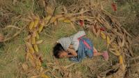 Latin American Film Days in Budapest, 23–29 September