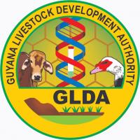 GLDA offers free beekeeping training in Region Nine as efforts continue to expand honey industry