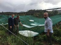 Organic farming reaches 8.6 per cent of cultivated land in Cyprus